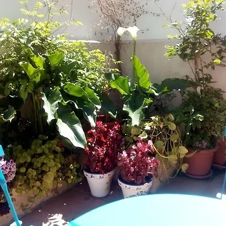 Ribera Del Tajo Σπίτι διακοπών *